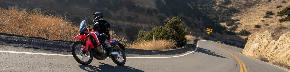 Choosing Your First Motorcycle: A Beginner's Guide to Two-Wheeled Freedom